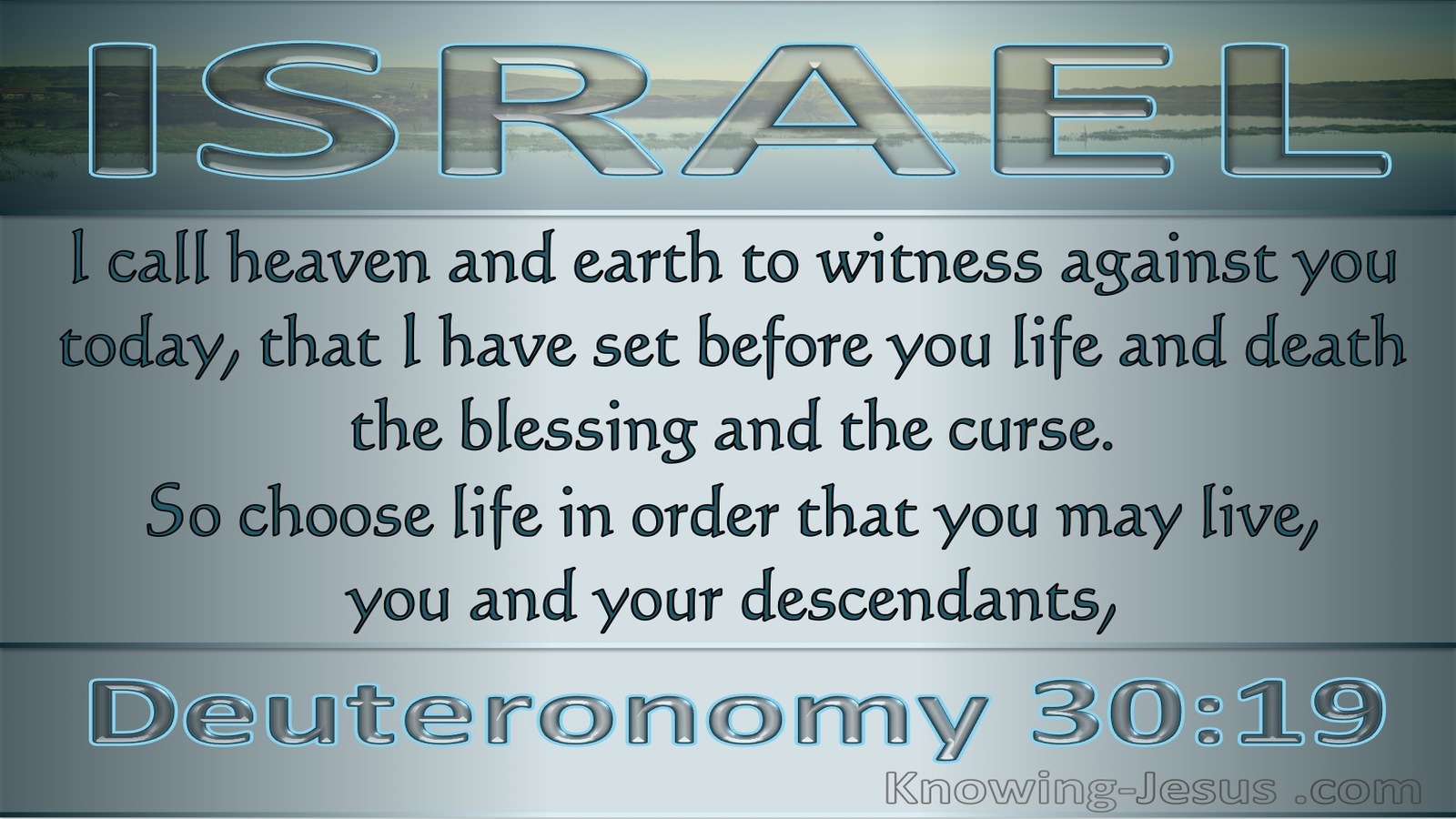 Deuteronomy 30:19 Choose Life Or Death (gray)